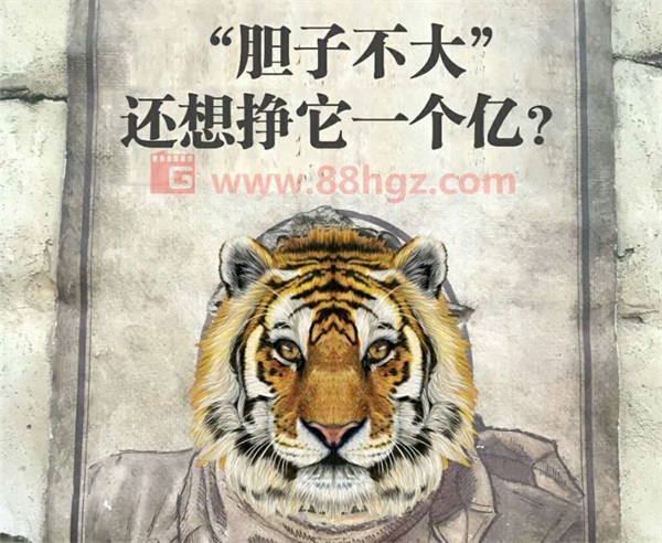 還能更高嗎？與迪瑪希共鳴的，是我們追隨企業宣傳片的信仰